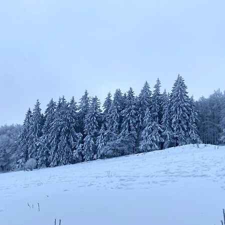 Le Chalet Du Hohwald 外观 照片